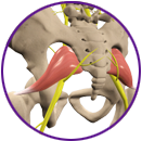 Piriformis Syndrome