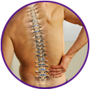 Spondyloarthropathies